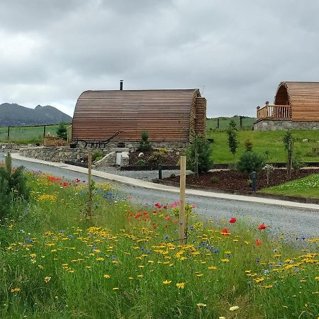 Tollymore Luxury Log Cabins 纽里 外观 照片