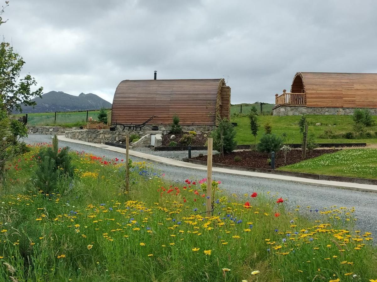 Tollymore Luxury Log Cabins 纽里 外观 照片
